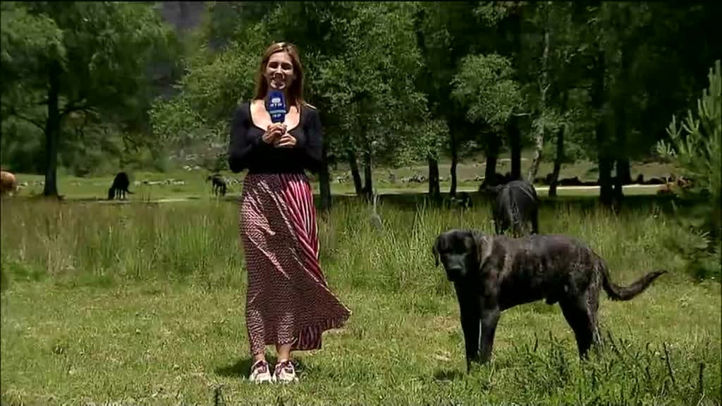 Imagem de Aqui Portugal