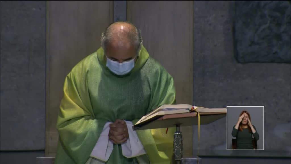Imagem de Eucaristia Dominical - Porto: XXVII Domingo do Tempo Comum