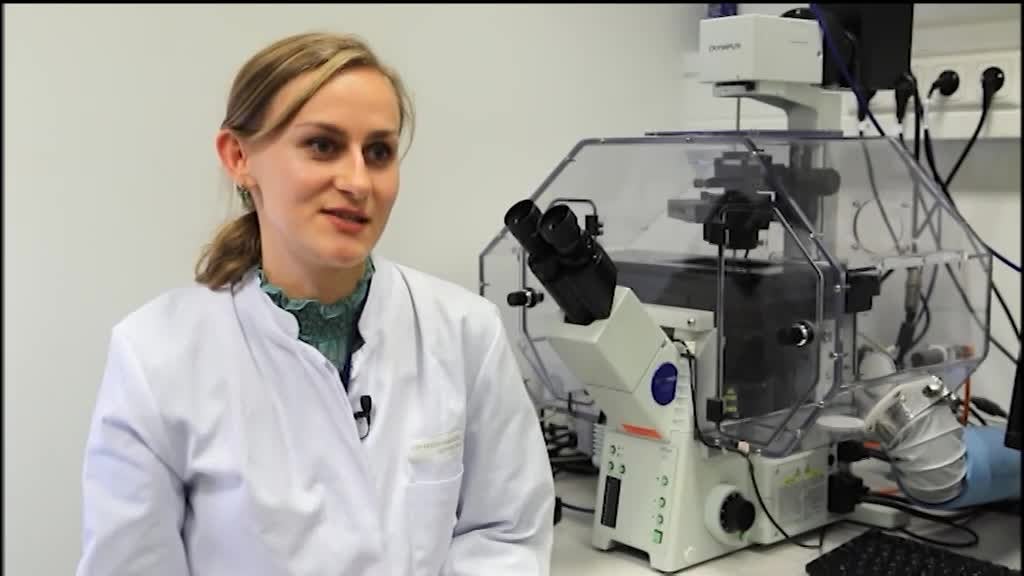 Imagem de Hora dos Portugueses (Fim de Semana)