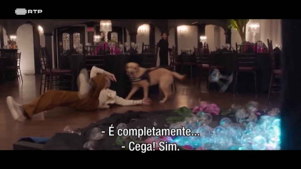 Imagem de Janela Indiscreta