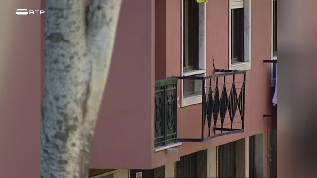 Imagem de Outras Histórias - Artesã da Ilha, Verdade das Letras, Colecionador de Falares