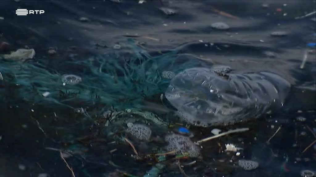 Imagem de Outras Histórias - Força de Vencer, Em Nome do Oceano, A Pequena Grande Casa