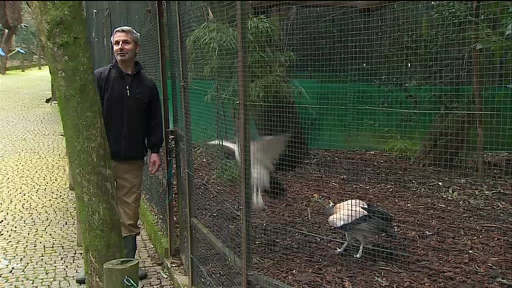 Imagem de Outras Histórias - A Granel, O Fiel Tratador e A Ilha de Encantos Mil