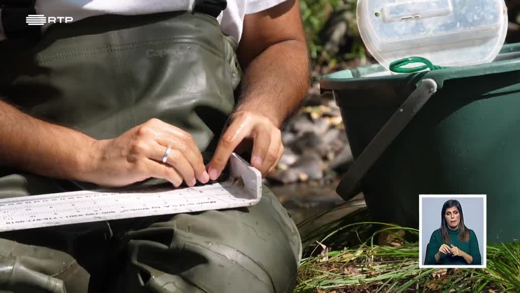 Imagem de Biosfera - A Revisão do Livro Vermelho das Espécies