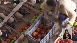 Quem Combate o Desperdício Alimentar?