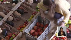 Quem Combate o Desperdcio Alimentar?