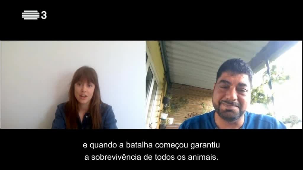 Imagem de Todas as Palavras
