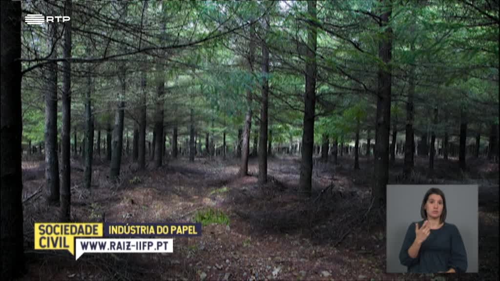 Imagem de Sociedade Civil - Indústria do Papel