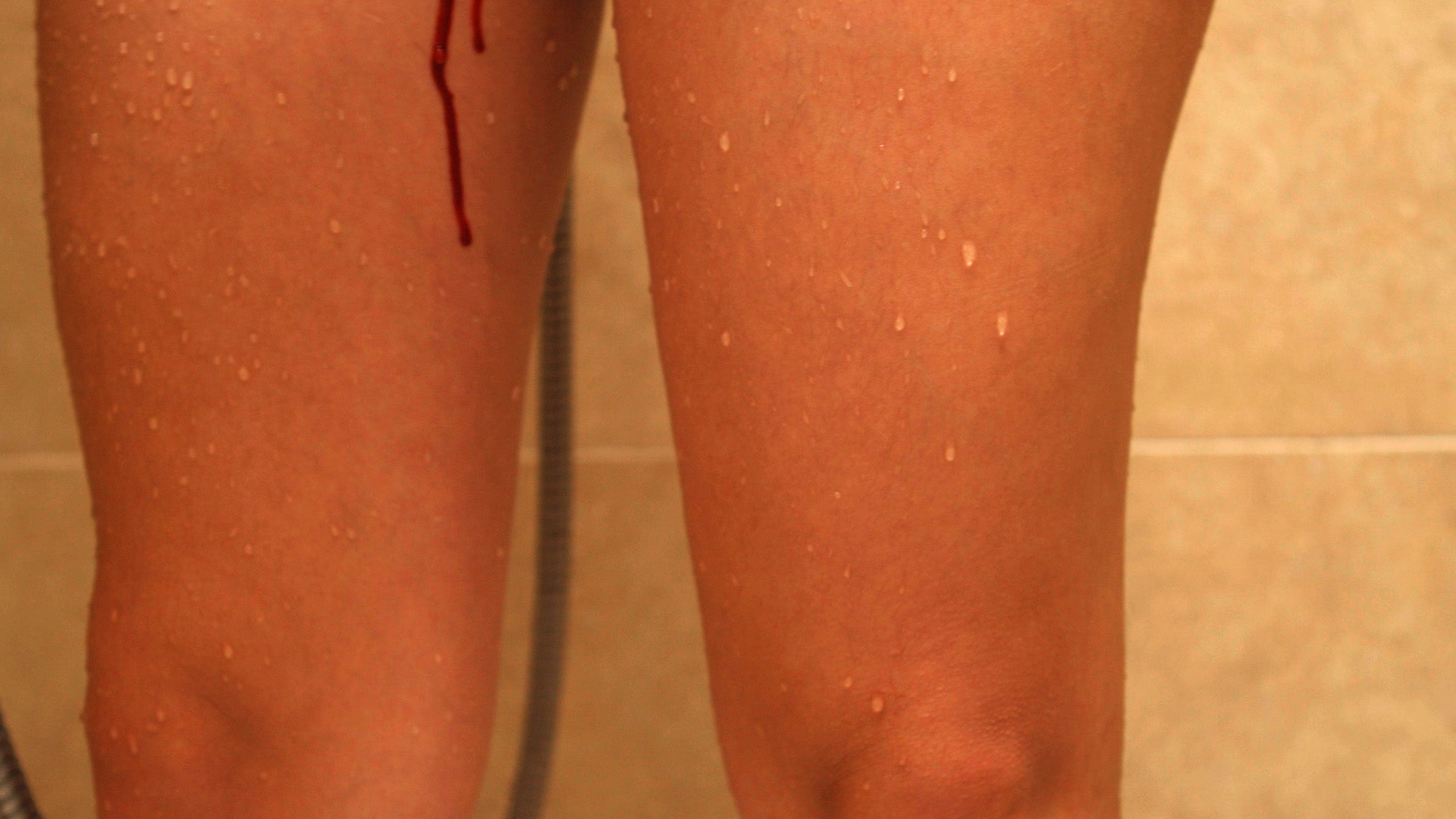 Imagem de O Meu Sangue