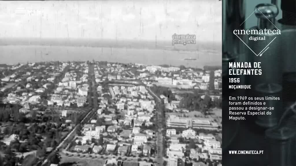 Imagem de Cinemateca Digital