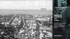 Imagem de Cinemateca Digital