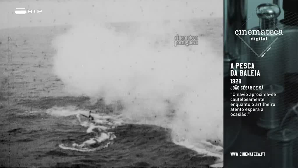 Imagem de Cinemateca Digital