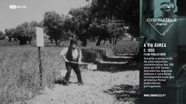 Imagem de Cinemateca Digital