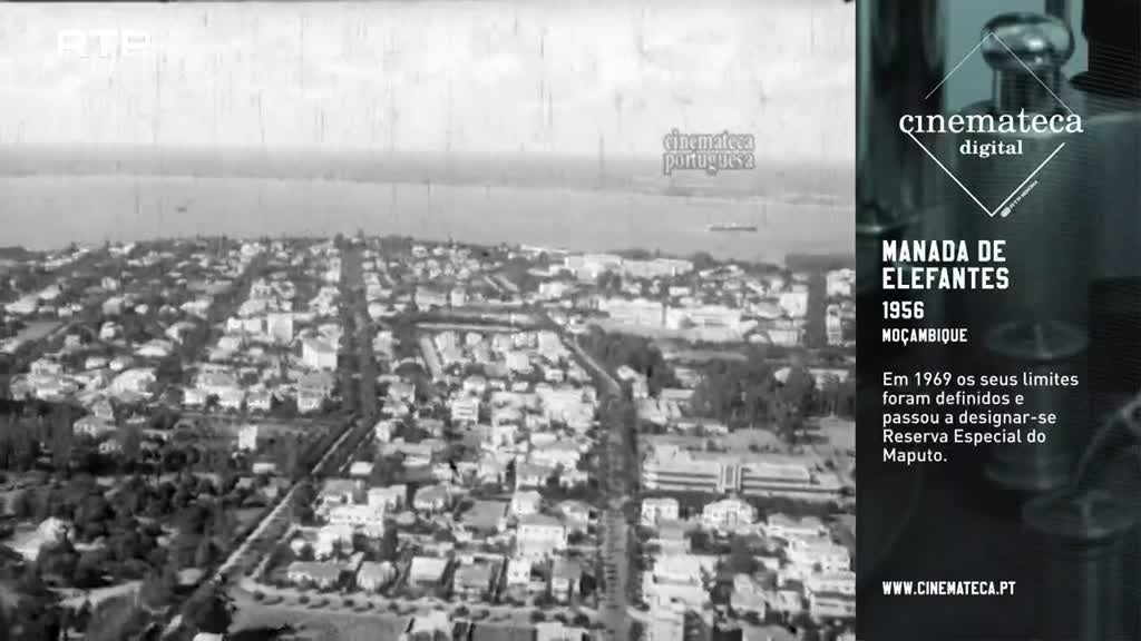 Imagem de Cinemateca Digital