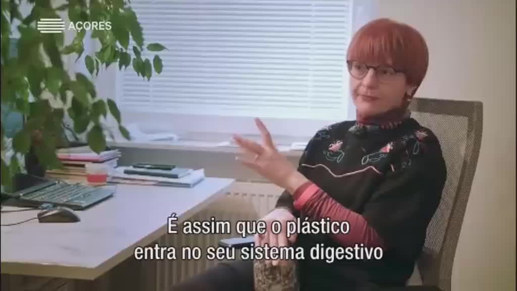 Imagem de Citizenship 6 - Nós e a Europa - Caminhos Plásticos