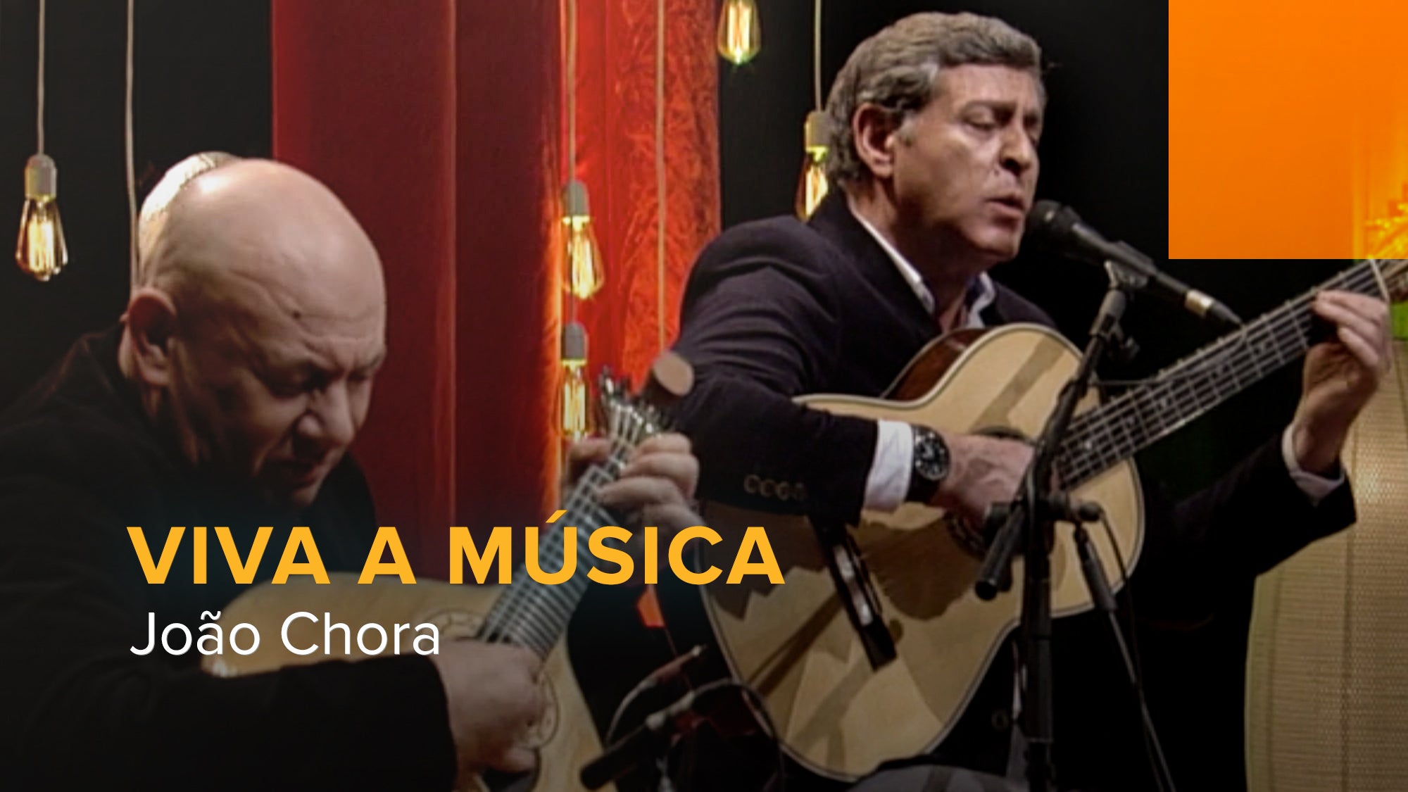 Imagem de Viva a Música - Viva a Música: João Chora