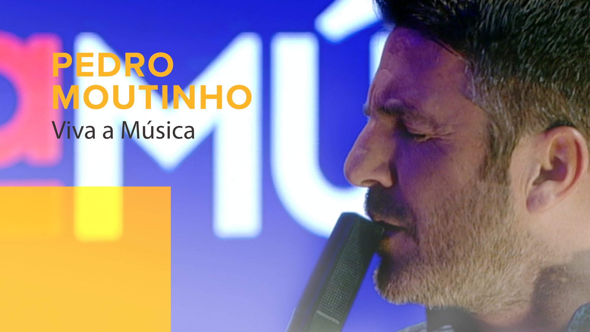 Imagem de Viva a Música - Viva a Música: Pedro Moutinho