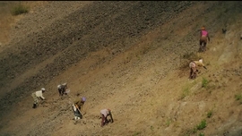 Imagem de Parque dos Poetas CPLP