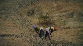 Imagem de Parque dos Poetas CPLP