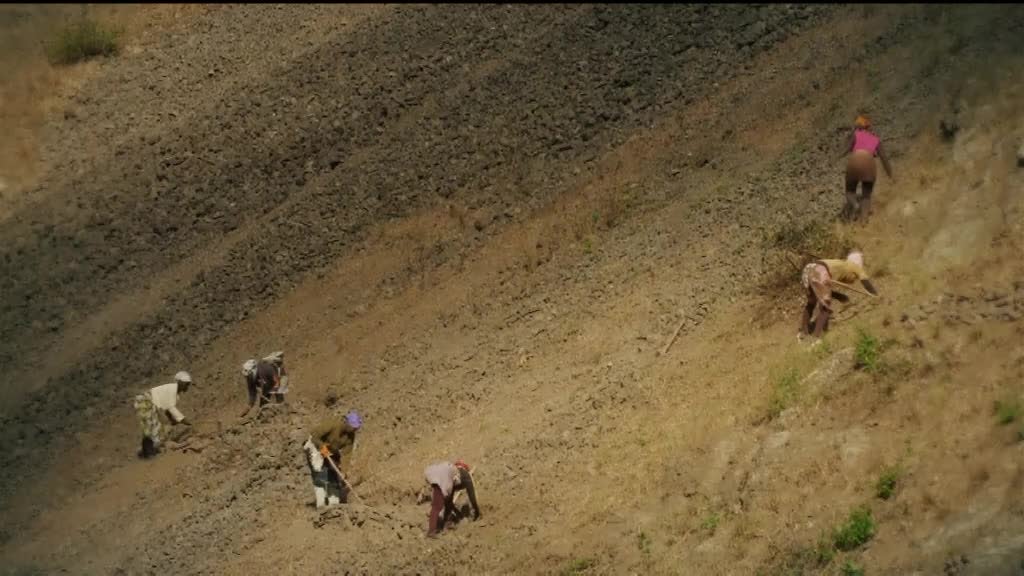 Imagem de Parque dos Poetas CPLP