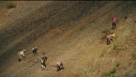 Imagem de Parque dos Poetas CPLP