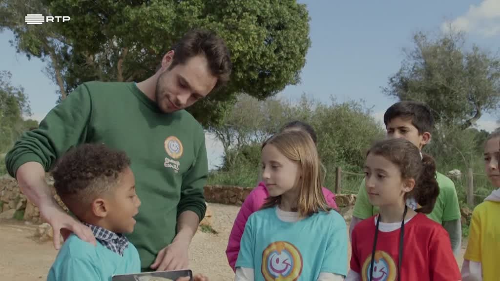 Imagem de Movimento Gentil - Desafio Escolas - Desafio Escolas (Lagoa)