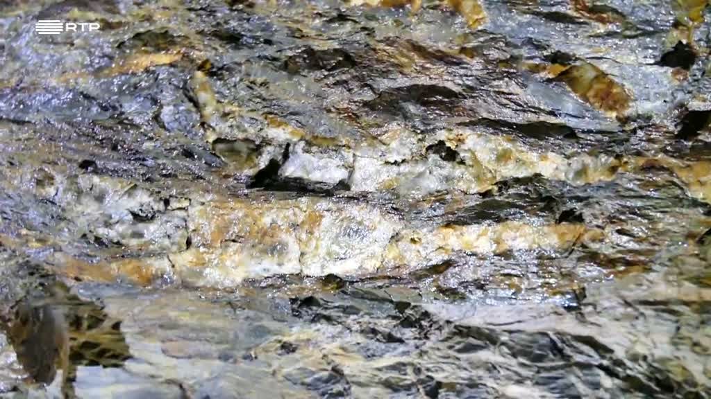 Imagem de Em Busca do Museu Desconhecido