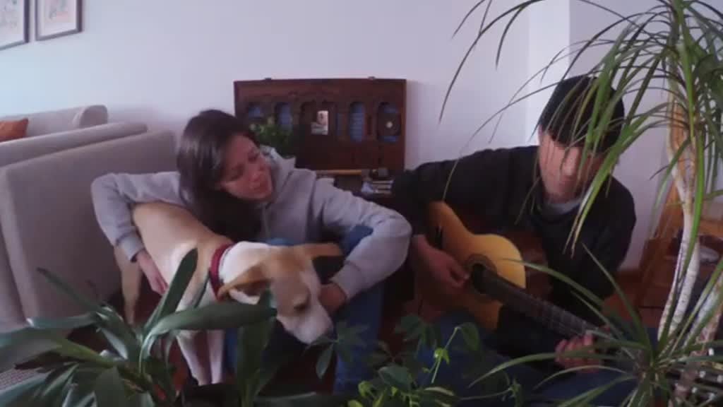 Imagem de Mariana Castello-Branco e Christian Luj�