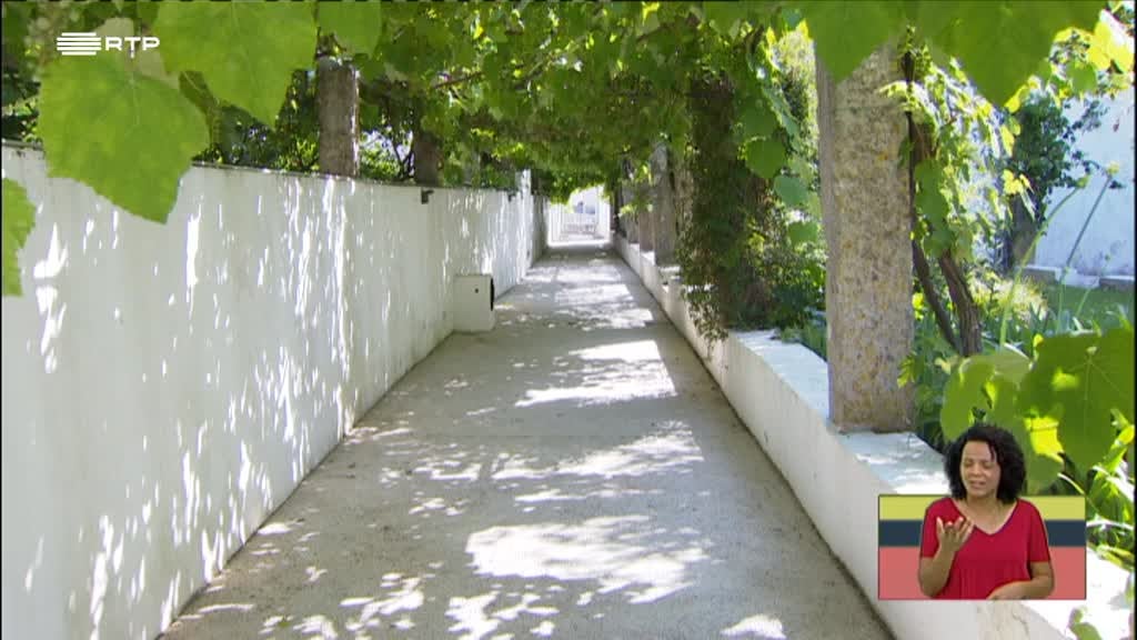 Imagem de Radar XS Extra