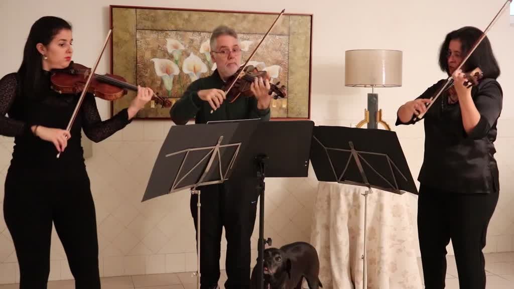 Imagem de Pedro Muñoz e Ana Beatriz Manzanilla - Pedro Muñoz e Ana Beatriz Manzanilla - Terzetto de Dvórak