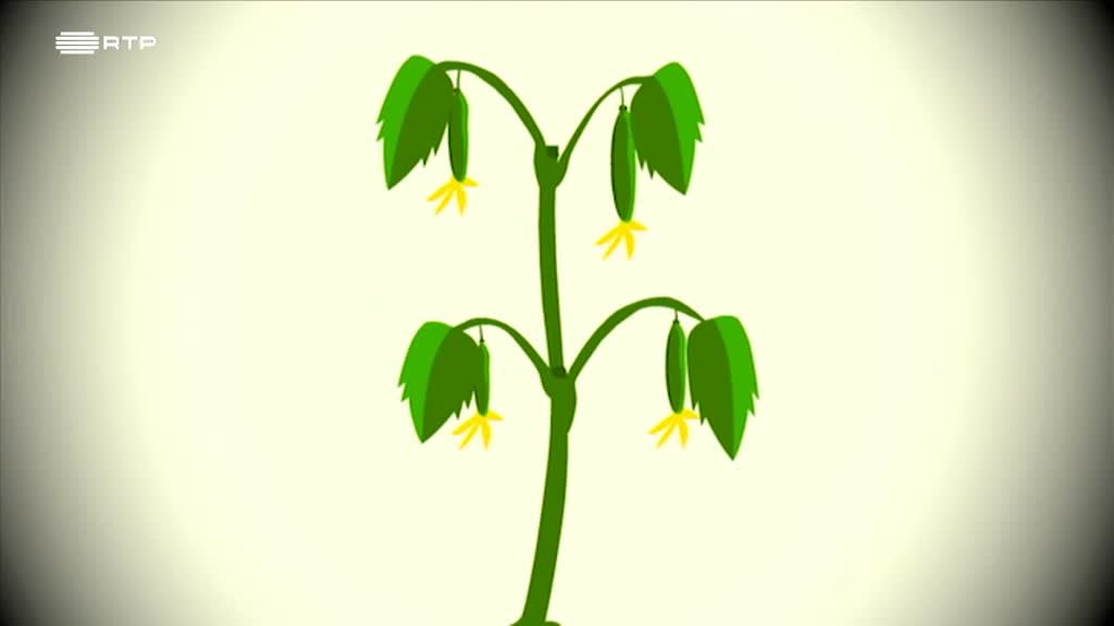 Imagem de Pontos nos Is