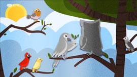 Imagem de Hora do Conto