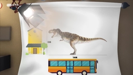 Imagem de Um Minuto de...