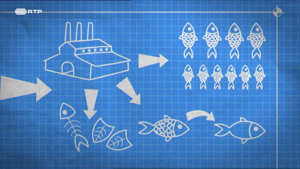 Imagem de Como se Faz