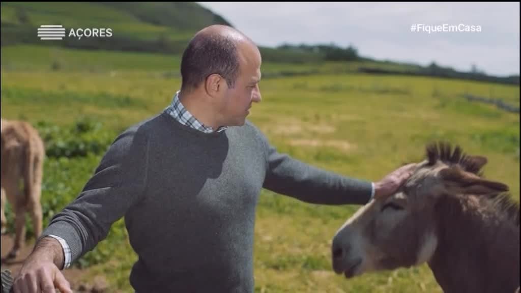 Imagem de Mal-Amanhados - Os Novos Corsários das - Mal-amanhados - Novos Corsários das Ilhas: Graciosa