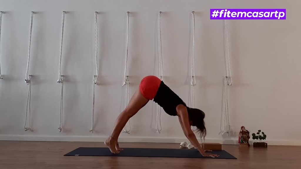 Imagem de Fit em Casa: Yoga - Carla Póvoa: PSOAS, o músculo da Alma