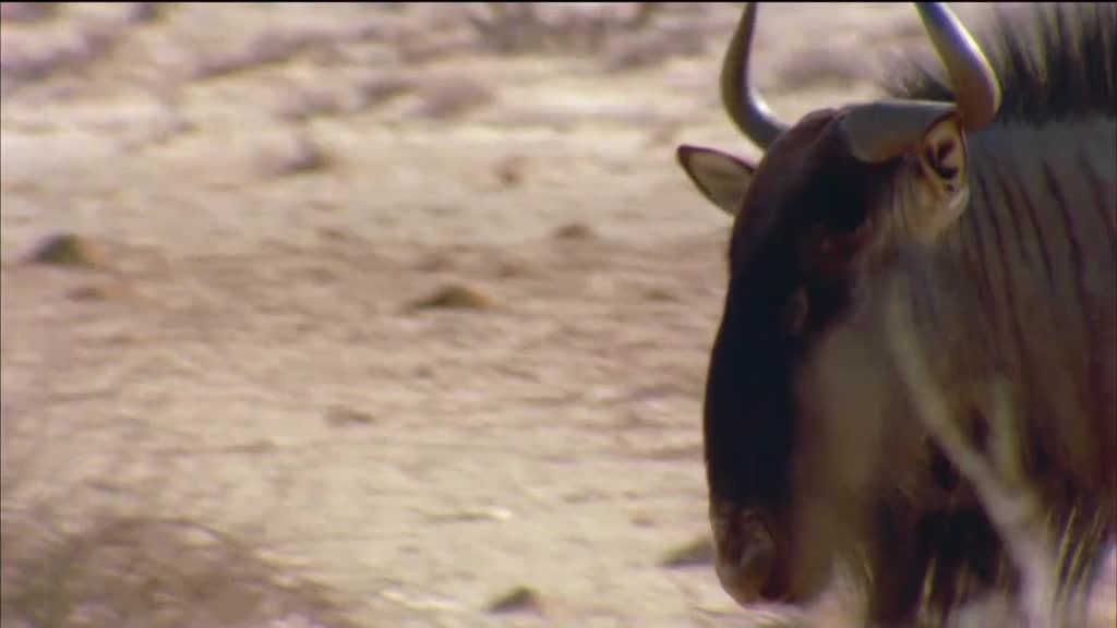 Imagem de O Mundo Não Acaba Assim