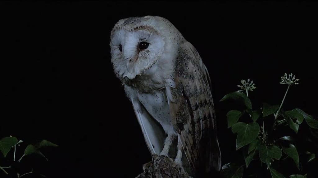 Imagem de O Mundo Não Acaba Assim