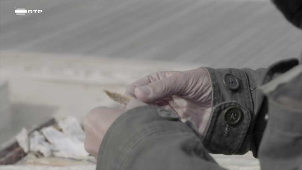 Imagem de Portugu Esses - Vizinhanças