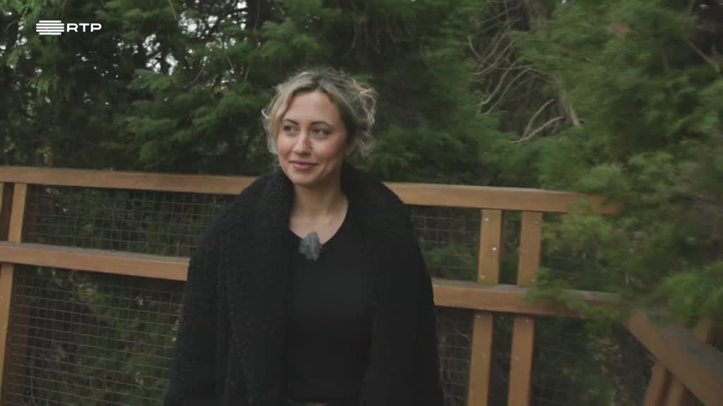 Imagem de Faz Faísca