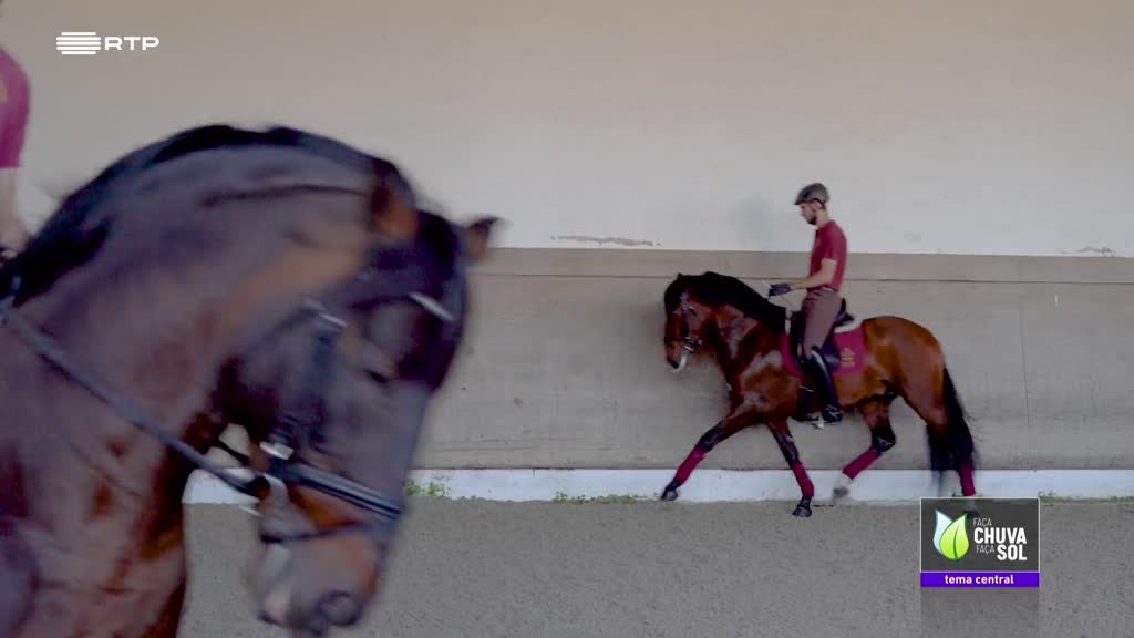 Imagem de Faça Chuva Faça Sol