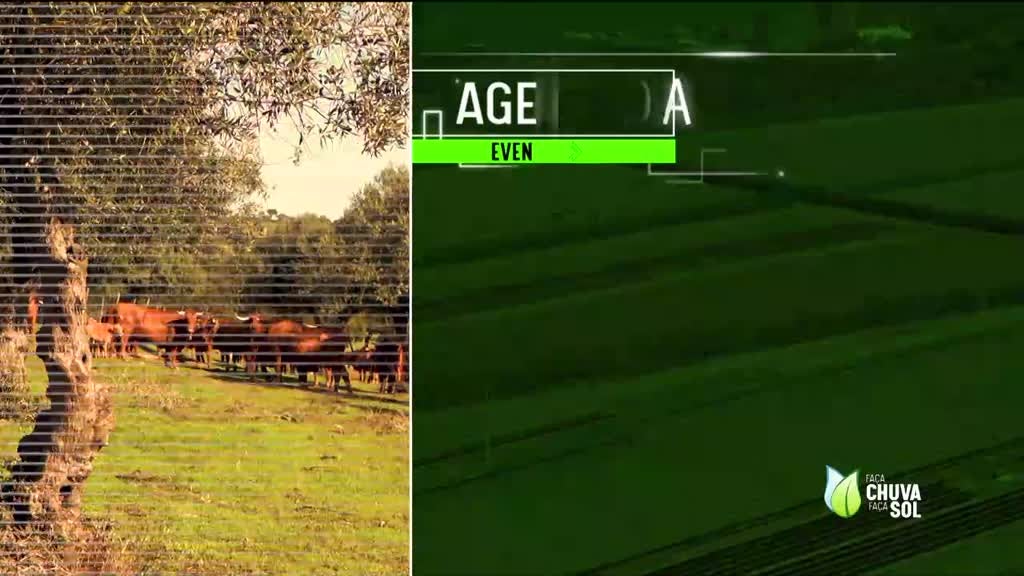 Imagem de Faça Chuva Faça Sol