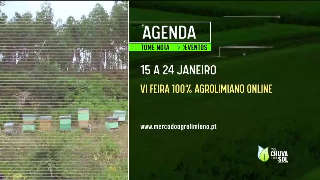 Imagem de Faça Chuva Faça Sol