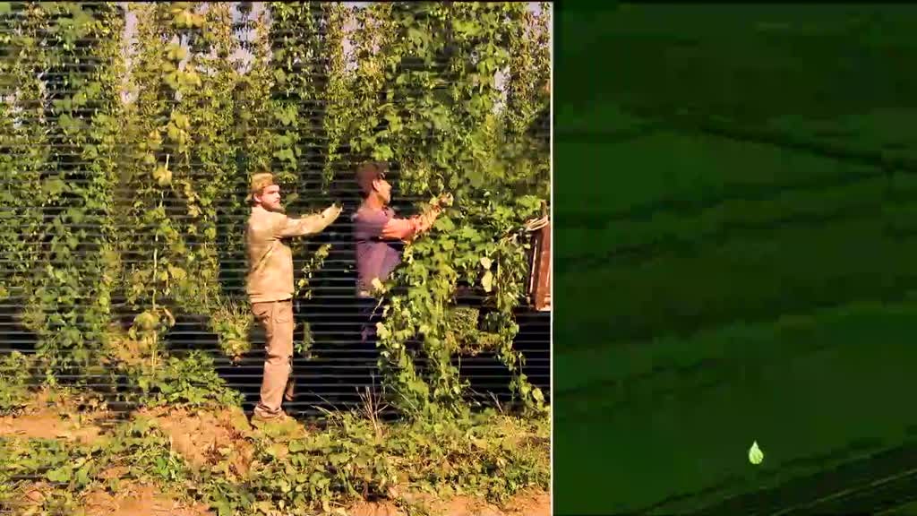 Imagem de Faça Chuva Faça Sol