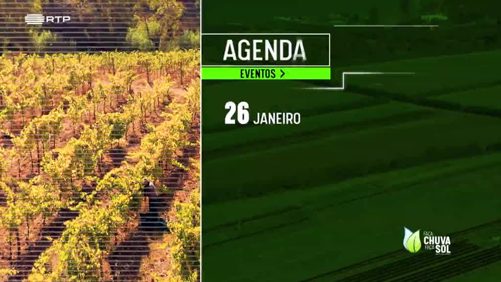 Imagem de Faça Chuva Faça Sol