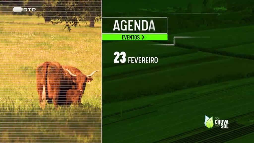 Imagem de Faça Chuva Faça Sol