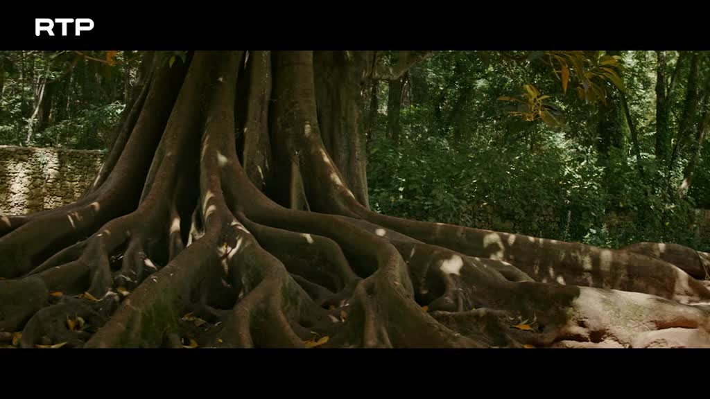 Imagem de Pedro e Inês