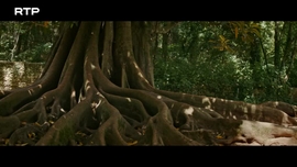 Imagem de Pedro e In�s
