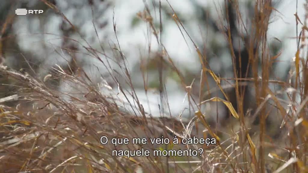 Imagem de Príncipes do Nada