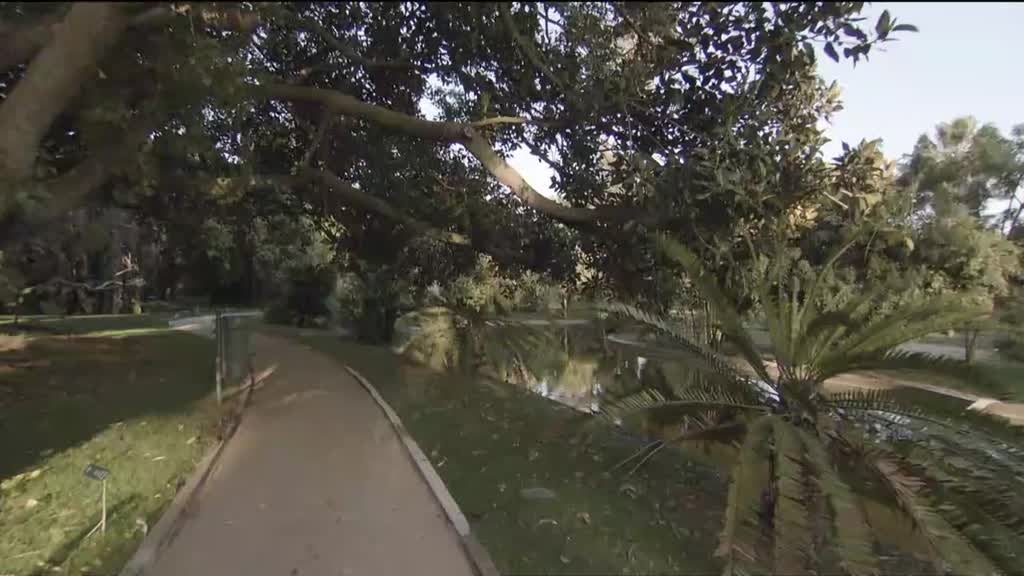 Imagem de Visita Guiada - Jardim Botânico Tropical, Lisboa